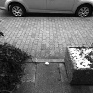 An exemplaryr image for the flowerbox dataset: a narrow passage between a concrete flowerbox and a hedge, connected to a sidewalk with parked cars next to it.